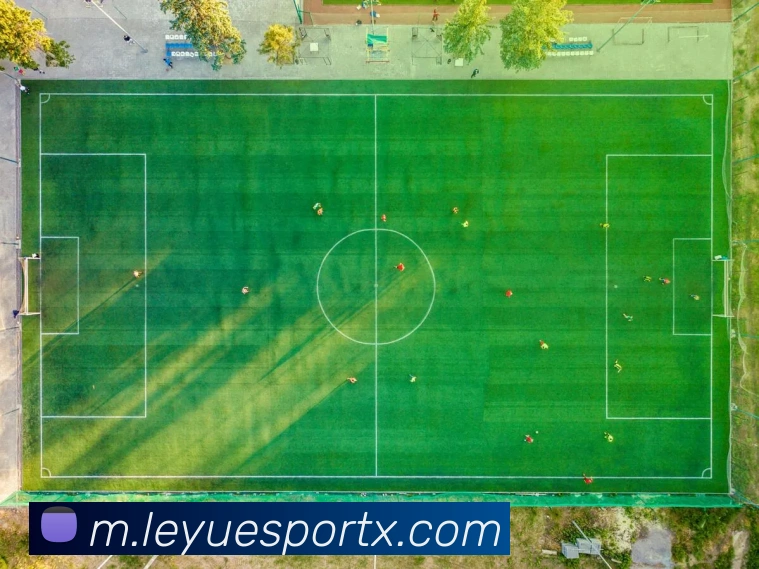 乐鱼电竞服务体系