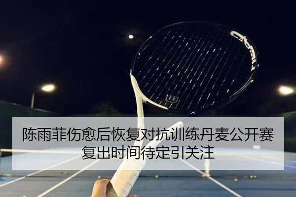 陈雨菲伤愈后恢复对抗训练丹麦公开赛复出时间待定引关注（leyu）